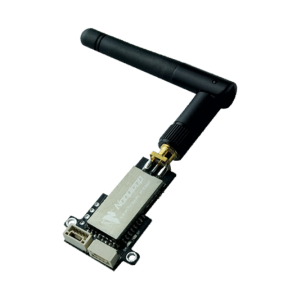 LTP-CS2